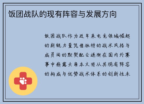 饭团战队的现有阵容与发展方向